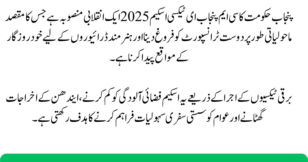 CM Punjab E-Taxi Scheme 