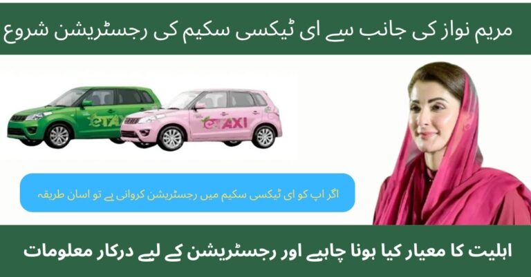 CM Punjab E-Taxi Scheme 2025