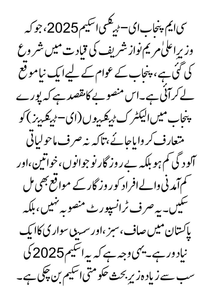 CM Punjab E-Taxi Scheme